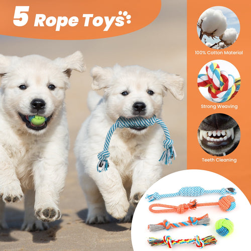 Two puppies playing with rope toys on a sandy background, with promotional text and images of toys on an orange banner.